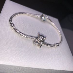 Pandora Charm Bracelet